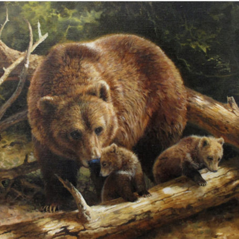 wildlife paintings colorado broadmoor springs fine