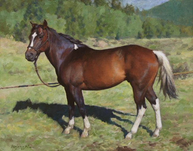 Benjamin Wu Painting Pony The Horse Oil on Canvas