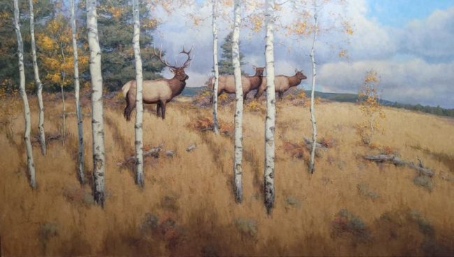 Scott Yeager Painting Autumn Elk Oil on Panel