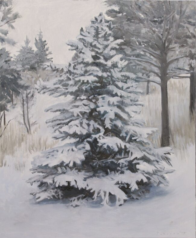 Rachel Personett Painting Snowy Blue Spruce Oil on Panel