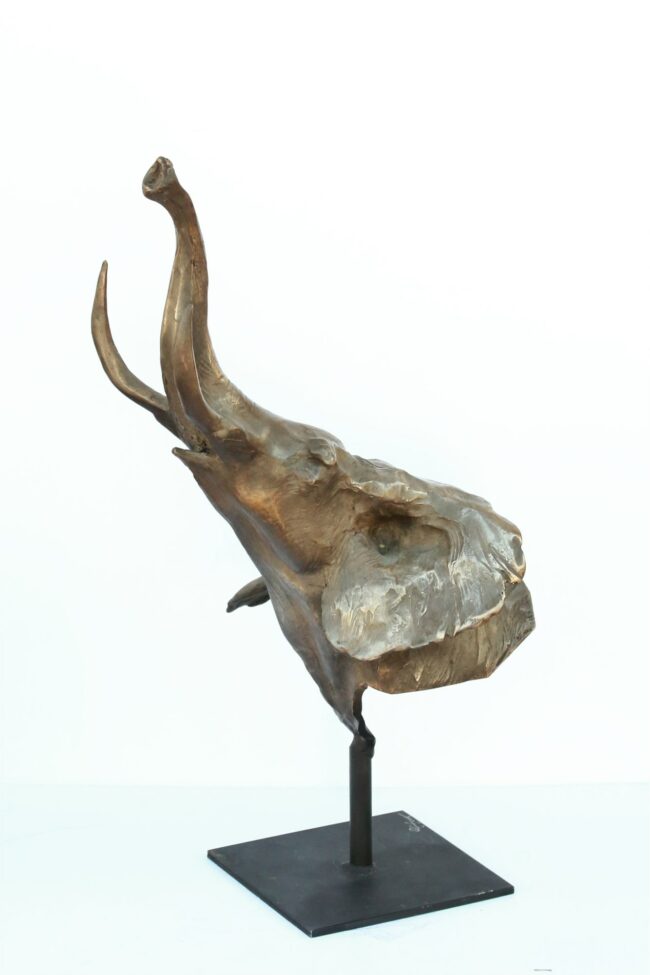 Sandy Scott Sculpture Trumpeting Elephant Study Bronze