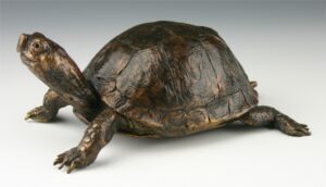 Mark Dziewior Sculpture Eastern Box Turtle Bronze