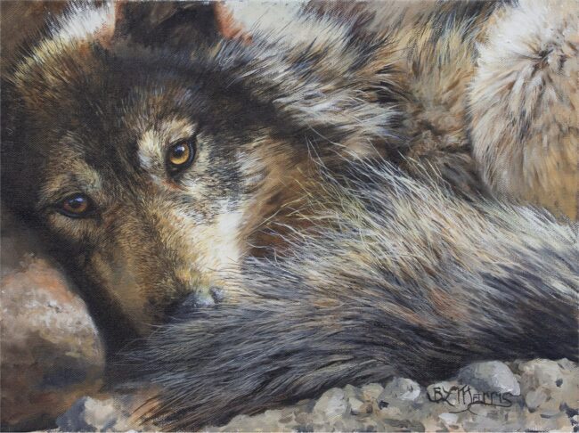 Bonnie Marris Painting At Rest Oil on Canvas