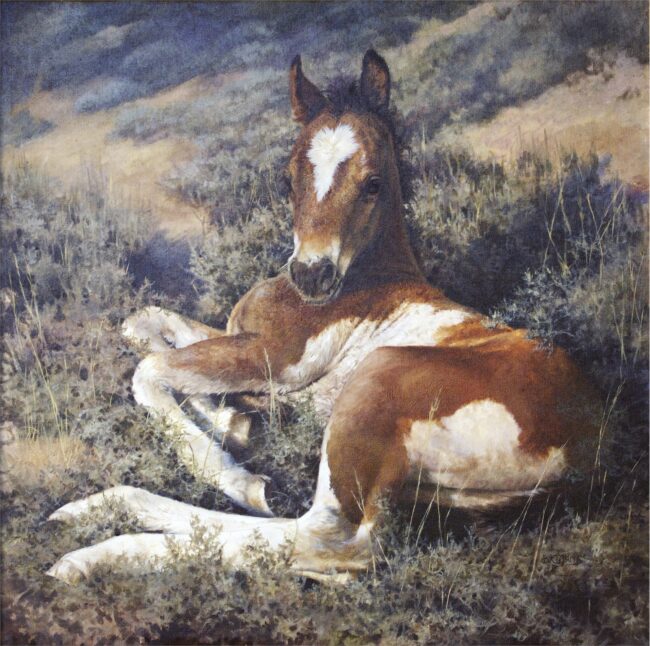 Bonnie Marris Painting On A Bed of Sage Oil on Canvas