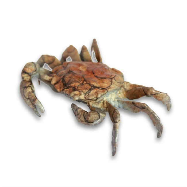 Dan Chen Sculpture Brown Crab Bronze