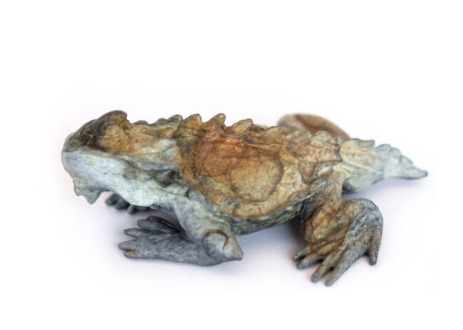 Dan Chen Sculpture Horned Toad Lizard B Bronze