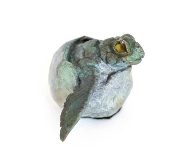 Dan Chen Sculpture Turtle Hatch I Bronze