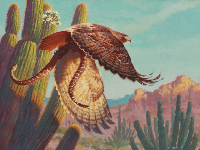 Ezra Tucker Painting Redtail and Rattler Acrylic on Canvas