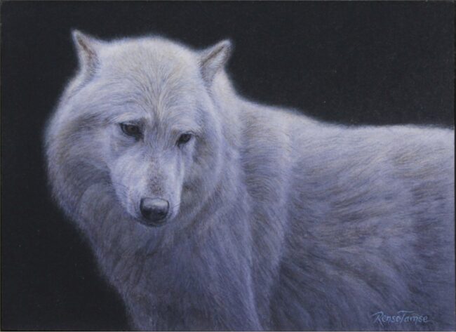 Renso Tamse Painting Soul Wolf Watercolor