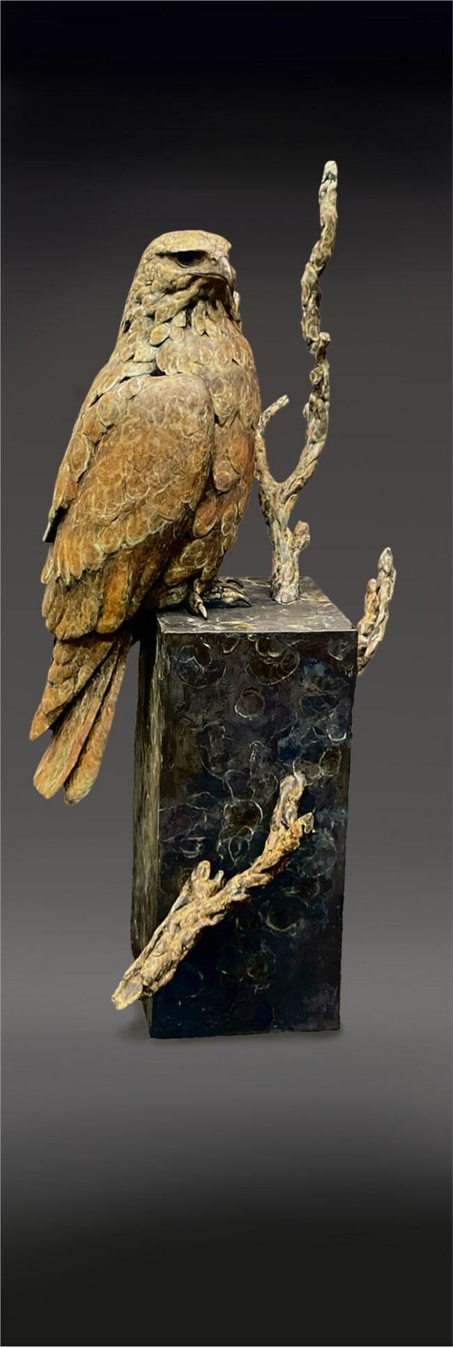 Stefan Savides Sculpture Vigilance Bronze