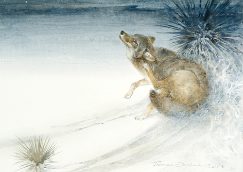 Thomas Quinn Painting Coyote Nocturne Watercolor