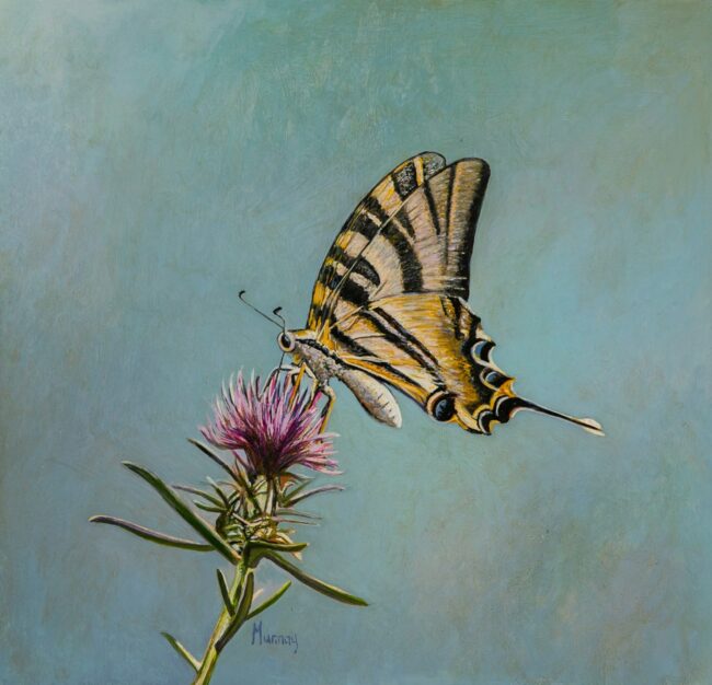 Karla Murray Painting Swallowtail on Thistle Oil on Board