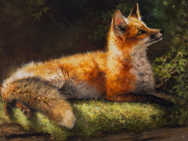 Bonnie Marris Estate Painting Fox Oil on Canvas