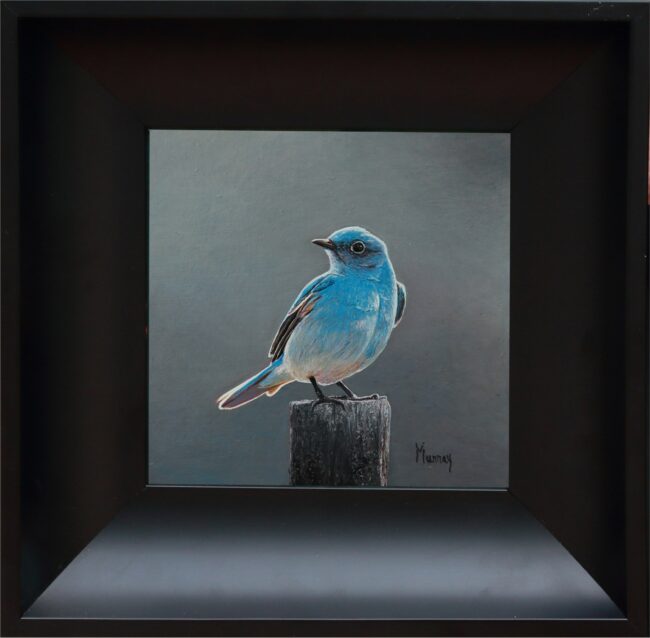 Karla Murray Painting Cool Weather - Mountain Blue Bird Oil on Board