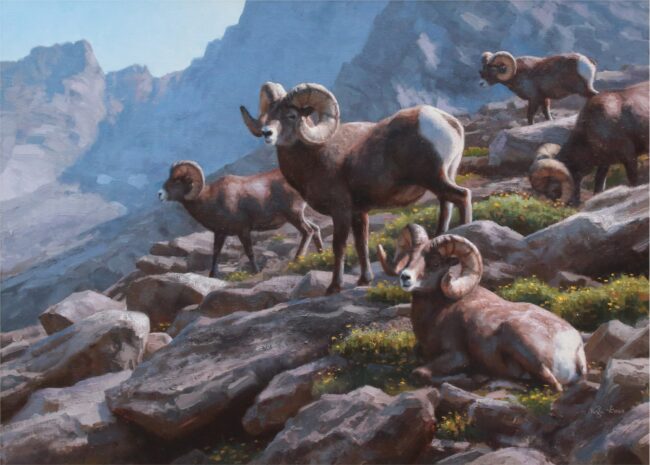 Kyle Sims Painting Bighorn Habits Oil on Linen
