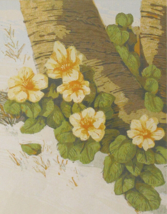 Leon Loughridge Printmaking Marsh Marigolds Woodblock Print