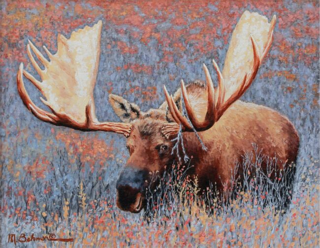 Mark Behmer Painting Big and Tall - Alaska Yukon Bull Moose Oil on Linen