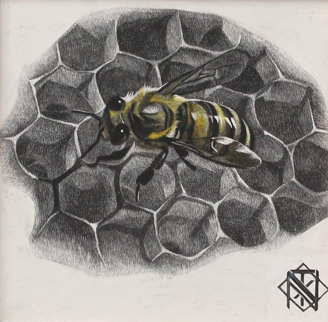 Nelson Tucker Scratchboard Bee on Honeycomb 2 Scratchboard