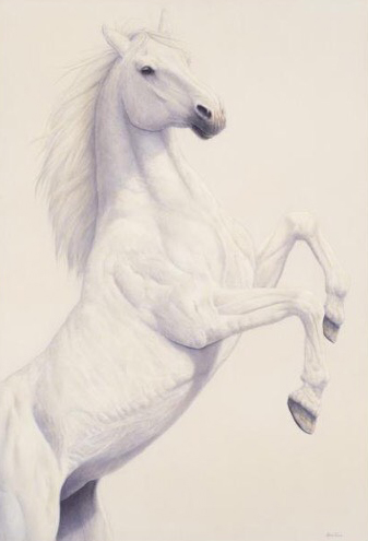 Renso Tamse Painting Prancing White Watercolor