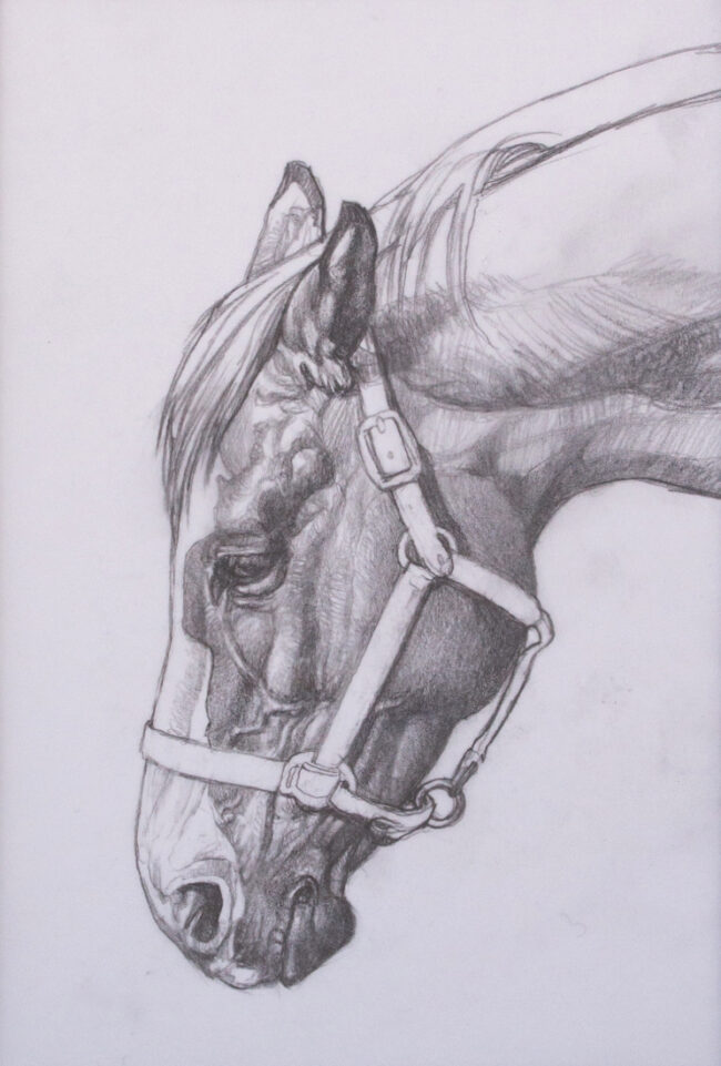 Thomas Blackshear II Drawing Horse Pencil on Paper