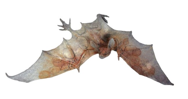 Dan Chen Sculpture Bat B Bronze