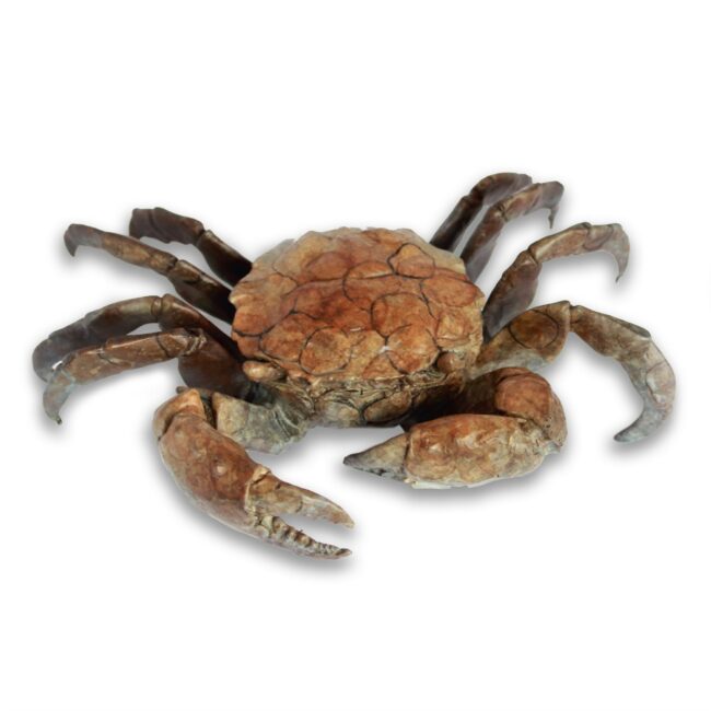 Dan Chen Sculpture Brown Crab – Large Bronze