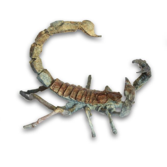 Dan Chen Sculpture Scorpion Bronze