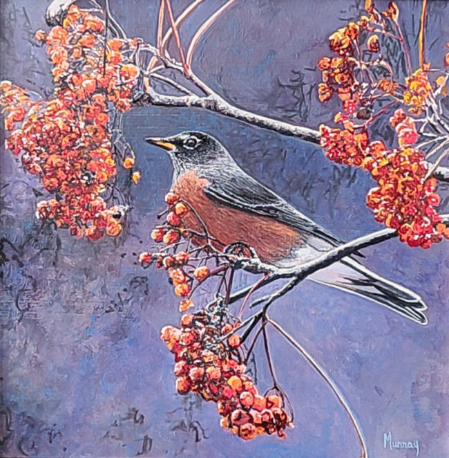 Karla Murray Painting American Robin in a Violet Sky Oil on Board