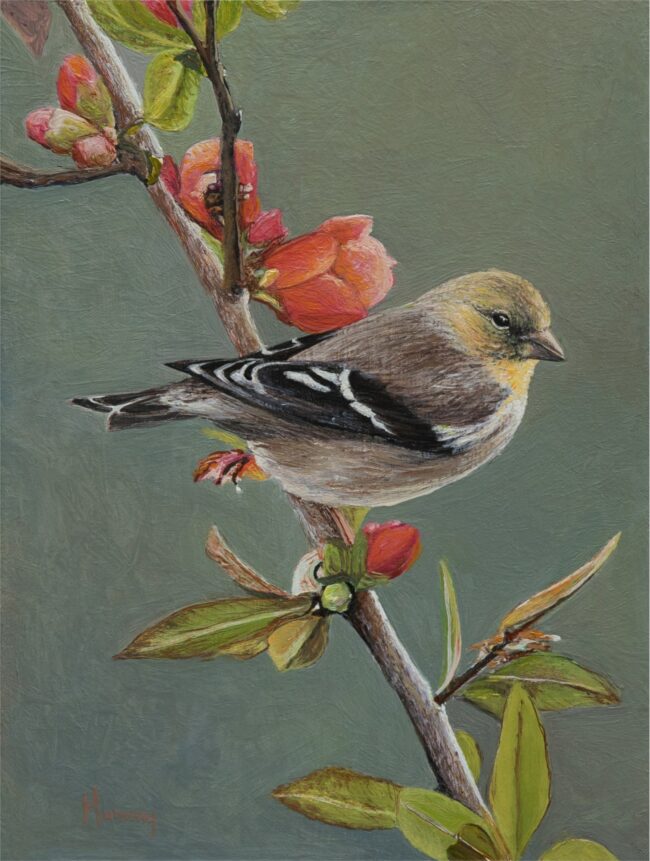 Karla Murray Painting Finch and Flowers Oil on Board