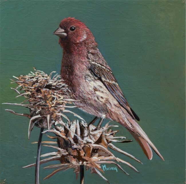 Karla Murray Painting Nesting Material Oil on Board
