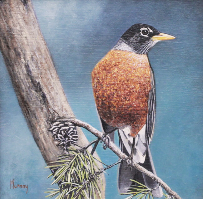 Karla Murray Painting Robin on Pine Branch Oil on Board