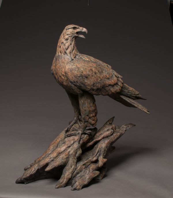 Stefan Savides Sculpture High Power Bronze