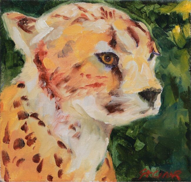 Linda St. Clair Painting Postcard Wild Cheetah Oil on Canvas