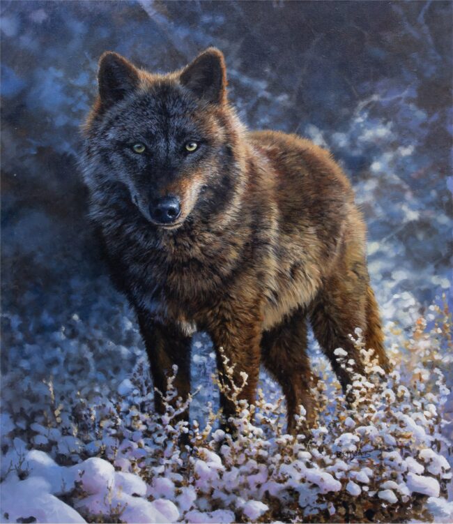 Bonnie Marris Painting Black Wolf in Winter Oil on Canvas