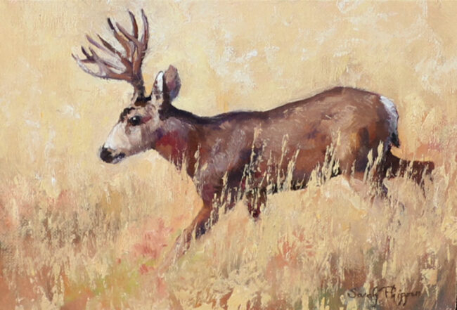 Sarah Phippen Painting Late Summer Buck Oil on Board