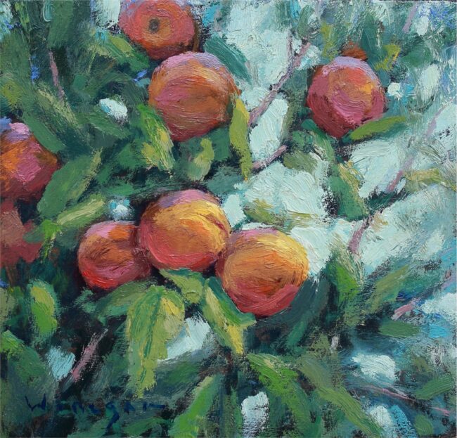 Seth Winegar Painting Peaches Oil on Panel