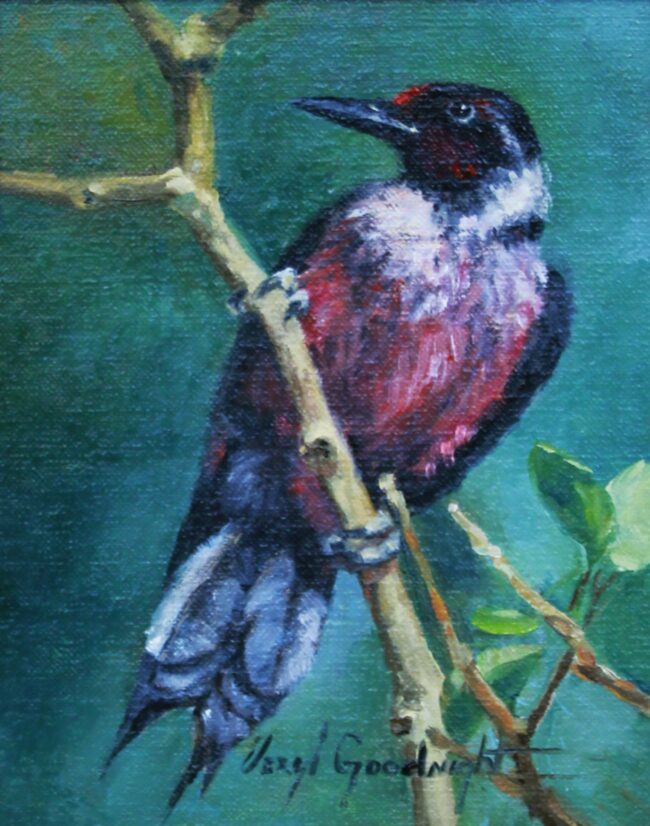 Veryl Goodnight Painting Lewis Woodpecker Oil on Board