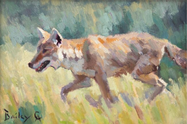 Brandon Bailey CA Painting Coyote Oil on Board