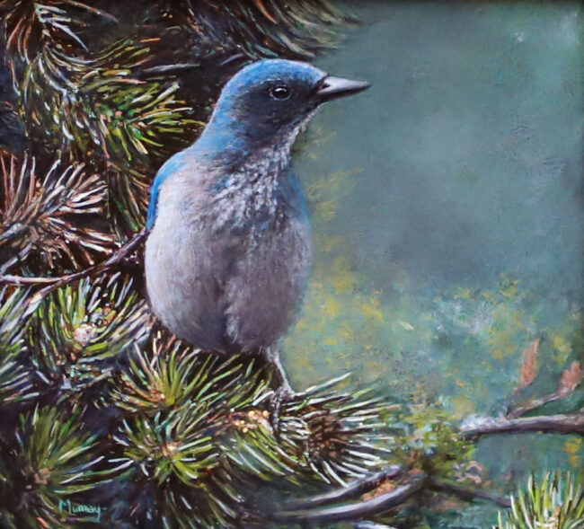 Karla Murray Painting Perched in Pine Oil on Board
