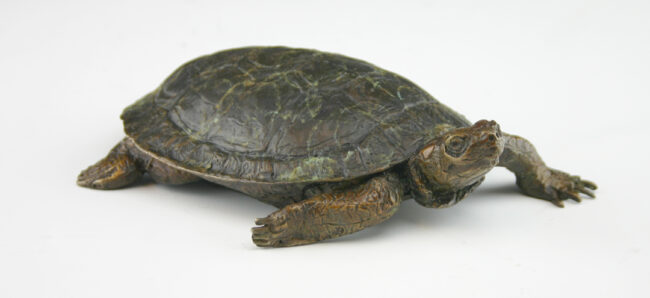 Mark Dziewior Sculpture Painted Turtle Bronze From Foundry