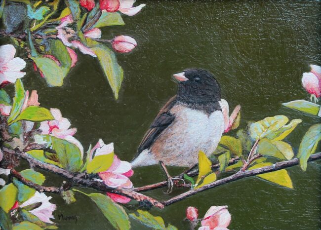 Karla Murray Painting Cherry Blossoms With Junco Oil on Panel