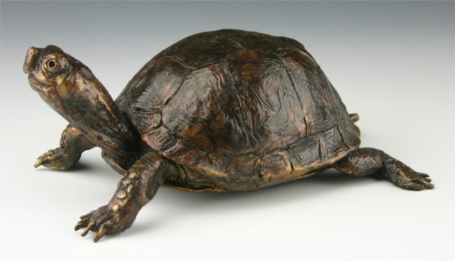 Mark Dziewior Sculpture Eastern Box Turtle Bronze From Foundry