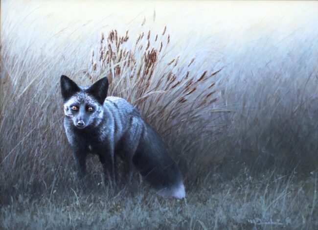 Mikel Donahue CA Painting San Juan Island - Blue Fox Acrylic on Illustration Board