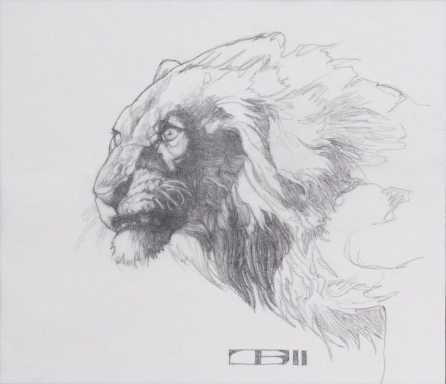 Thomas Blackshear II Drawing Lion Pencil on Paper
