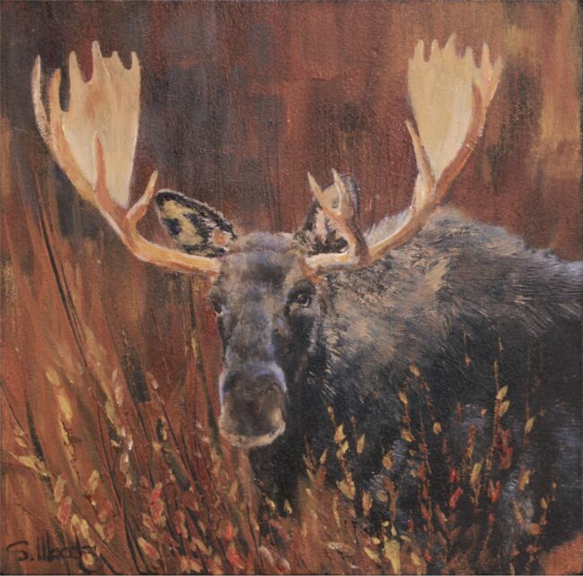 Sarah Woods Painting Red Willow Moose Oil and Gold Leaf on Board