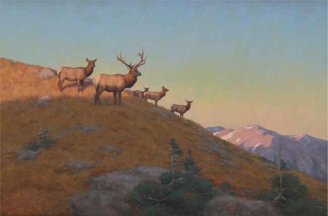Scott Yeager Painting Alpenglow Elk Oil on Board