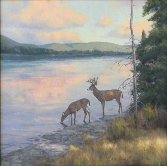 Scott Yeager Painting Whitetails Oil on Canvas