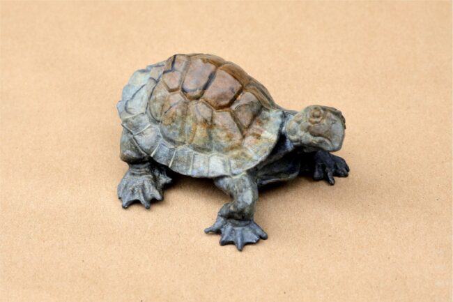 Dan Chen Sculpture Turtle A Bronze