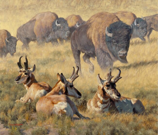 Dustin Van Wechel Painting American Serengeti Oil on Linen