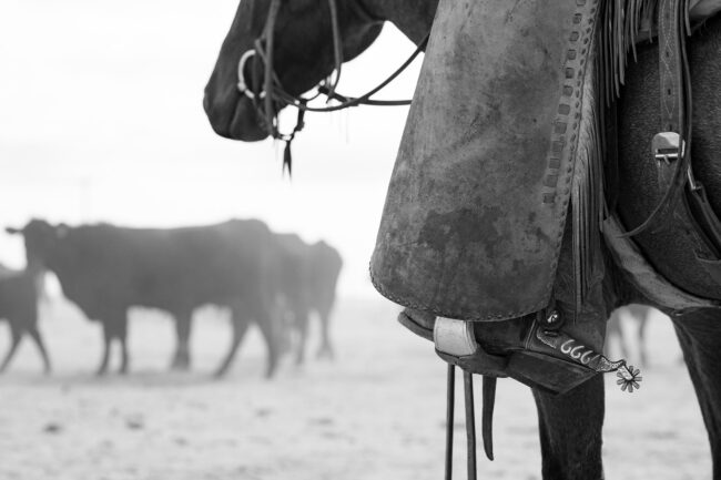 Rob Hammer Photography Cow Puncher Black & White Photography